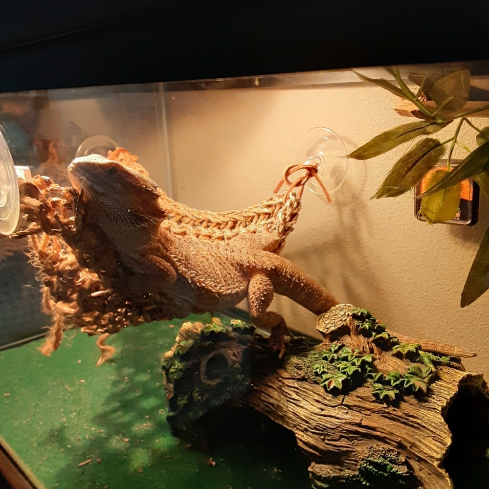 Meet your Posher, Lauri